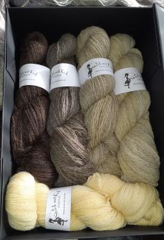 British Fade Vanille